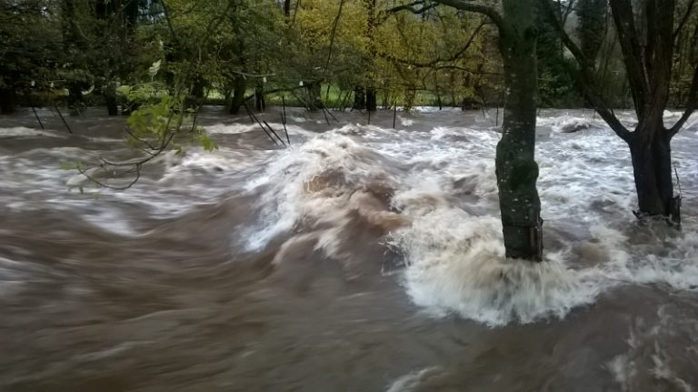 Hochwasser auf Elz